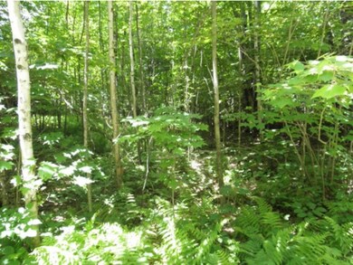 402-2 Rte 135, Dalton, NH 03598 - photo 2