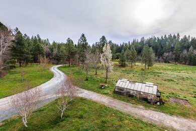 Driveway Looking East