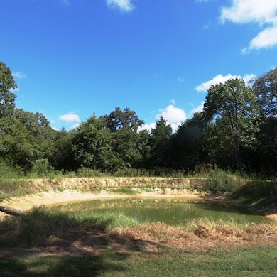 8751 County Road 41126, Athens, TX 75751 - photo 4