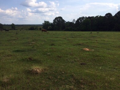 0 Clay Hill Rd, Lincolnton, GA 30817 - photo 2