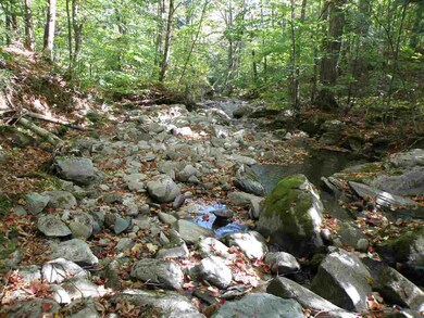 Five brooks run through the property