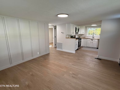 5320 Cain Rd, Knoxville, TN 37921 - photo 7