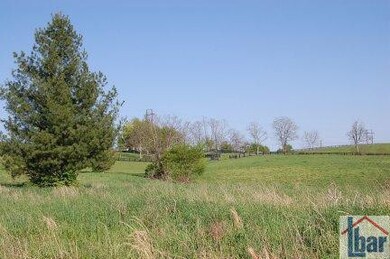 3742 Cummins Ferry Rd, Versailles, KY 40383 - photo 7