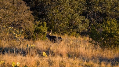 917 Bear Springs Rd, Mason, TX 76856 - photo 2