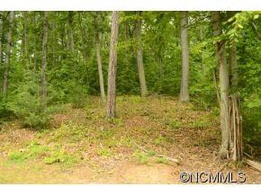 Beautiful, wooded site!