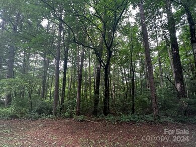 0 Laura Trace unit 1 CAR4127374, Hendersonville, NC 28792 - photo 2