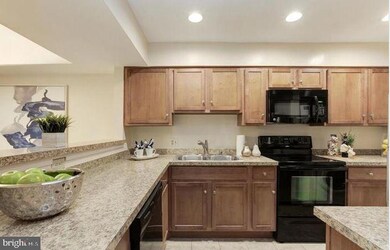 10713 Hampton Mill Terrace unit 110, Rockville, MD 20852 - photo 3