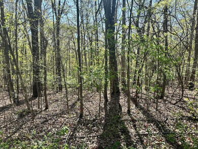 L42a & 43a Eaglecrest Rd, Cape Fair, MO 65624 - photo 5