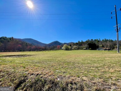 0 Stella Ln unit 10485082, Rabun Gap, GA 30568 - photo 7
