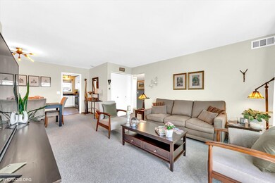 610 Cobblestone Cir unit F, Glenview, IL 60025 - photo 7