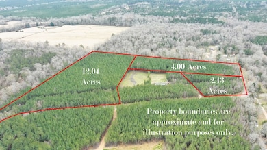 #1 Anderson Rd, Wesson, MS 39191 - photo 4