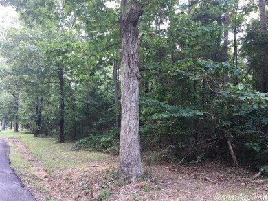 0 River Ridge unit 17023829, Heber Springs, AR 72543 - photo 2