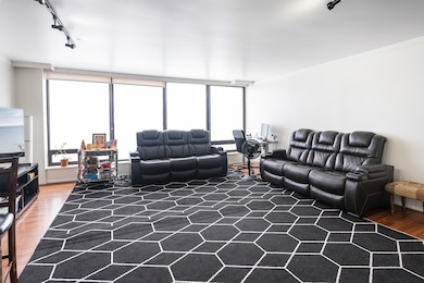 Edgewater Plaza Condominiums unit 3210, Chicago, IL 60640 - photo 6