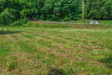 00 Dyer Hollow Rd 6