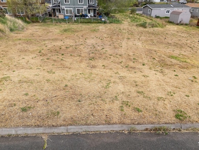 3 Great Adjoining Lots SW 3rd Street