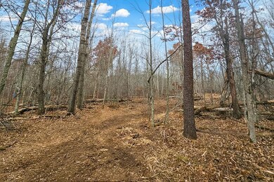 0 Welch Rd unit 25650595, Union Township, WI 54893 - photo 6