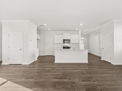 Elston kitchen with dark hardwood like flooring and a large pantry with wire shelves