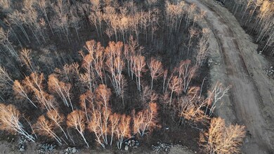 3907 Merganser Dr, Hermantown, MN 55811 - photo 7