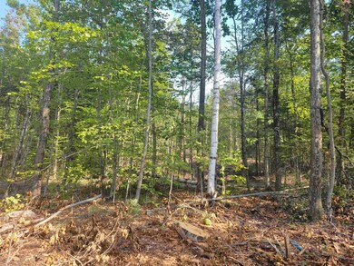 7-428 Wyman Rd, Grafton, NH 03240 - photo 6