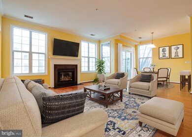 4667 Longstreet Ln unit 206, Alexandria, VA 22311 - photo 3