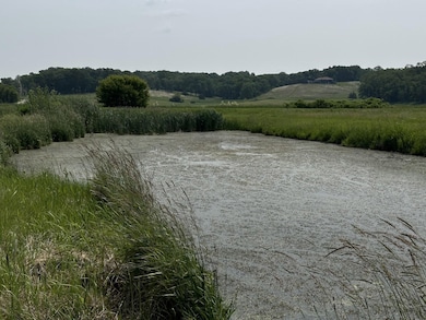 16025 Illinois 78, Mount Carroll, IL 61053 - photo 6