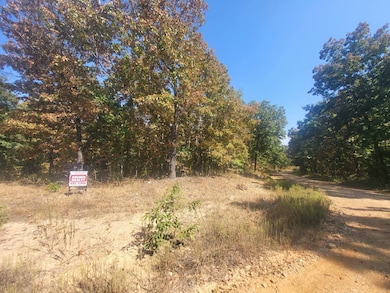 TBD Corner of Ring Rd and Upper Janes Creek, Ravenden Springs, AR 72460 - photo 5