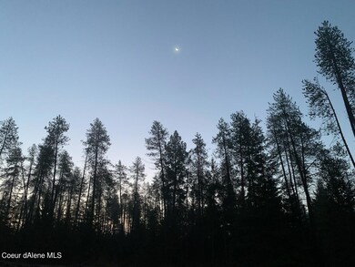 32268 N Roberts Rd, Athol, ID 83801 - photo 5