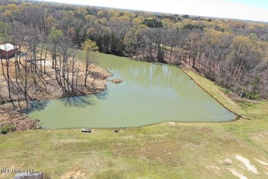 14491 Valley View, Byhalia, MS 38611 - photo 7