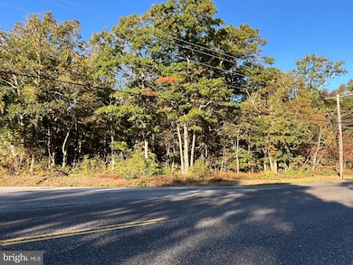 0 Main Ave unit NJAC2014732, Richland, NJ 08360 - photo 5