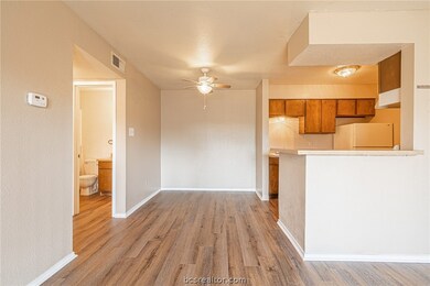Cripple Creek Condos unit 9, College Station, TX 77840 - photo 5