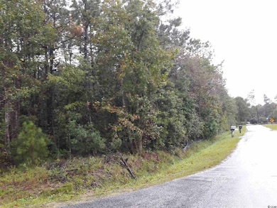 Tract 1 Highway 9, Little River, SC 29566 - photo 6