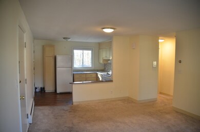 41 Lionel Ave unit D, Waltham, MA 02452 - photo 7
