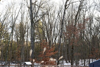 3884 Underwood Dr, Bitely, MI 49309 - photo 6