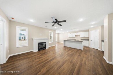 25 Paislynne Ct, Brandenburg, KY 40108 - photo 3