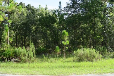 9 Primula Ct E, Homosassa, FL 34446 - photo 4