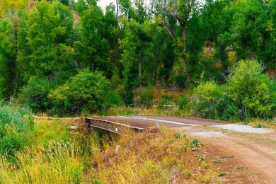 Bridge over the Stream