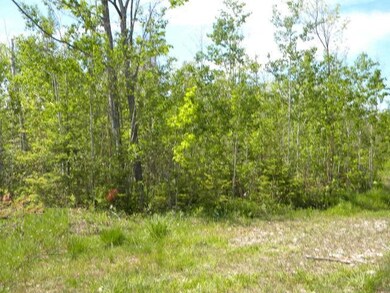Trail of Peter's Road