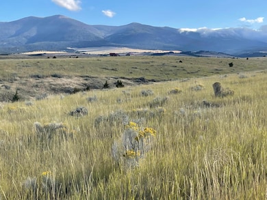 TBD S Fork Ray Creek Rd, Townsend, MT 59644 - photo 6