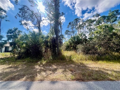 Lot 8 Abbeville Rd, North Port, FL 34288 - photo 2