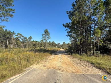 County Road 121, Jacksonville, GA 31544 - photo 3