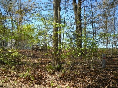 288 Pine St, Bitely, MI 49309 - photo 3