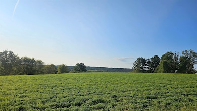 5 acres Lavalle Rd, La Valle, WI 53941 - photo 4