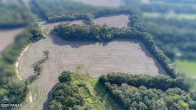 Tbd Hwy 31, Opelousas, LA 70570 - photo 3