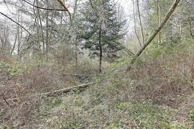 Street View off road connecting to Amber View (no name)