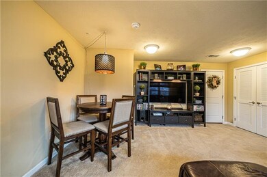 Lower level family room offers plenty of room for 