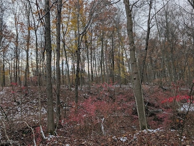View of undeveloped land