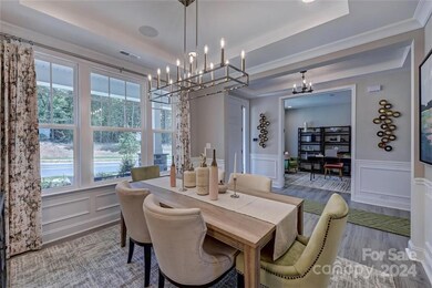 REPRESENTATIVE PHOTO