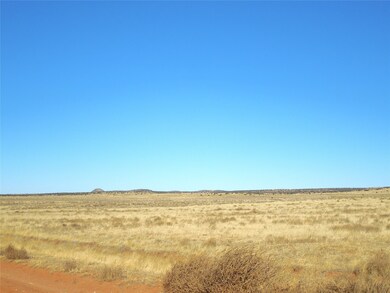 Lot 20-22 Block 8 Tract 12, Estancia, NM 87016 - photo 5