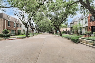 A beautiful canopy of oak trees!