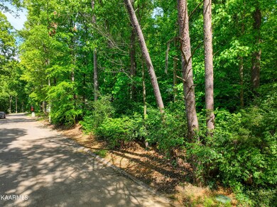 0 Coleridge Dr, Knoxville, TN 37919 - photo 3